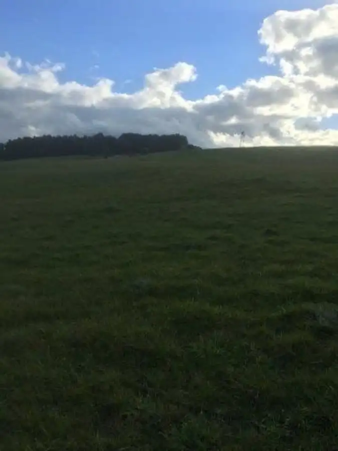 Sixth view of Homely rural property listing, Tarrenlea Road, Coleraine VIC 3315