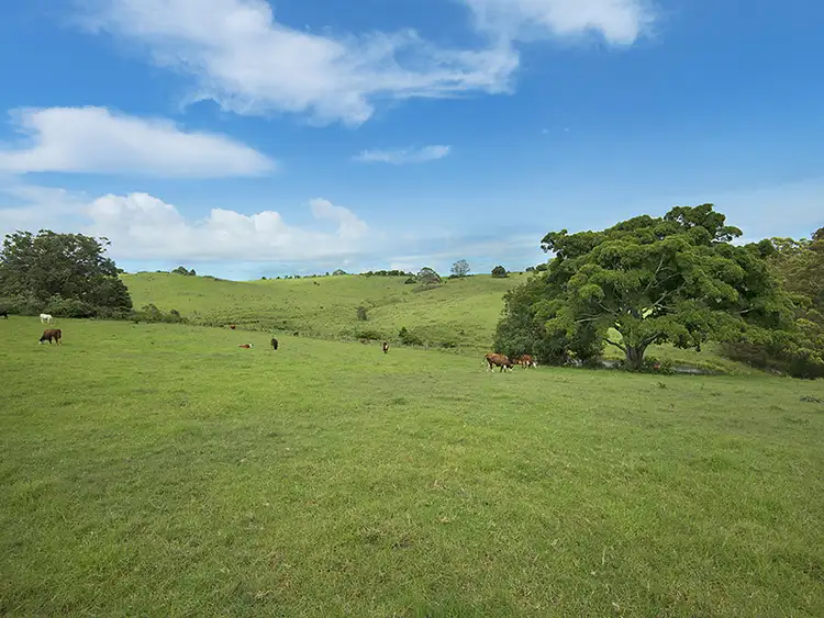 Sixth view of Homely land listing, 2740 Mount Mee Rd, Ocean View QLD 4521