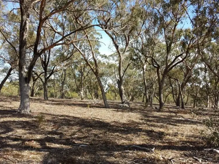 Seventh view of Homely land listing, 545 Spring Flat Road, Heathcote VIC 3523