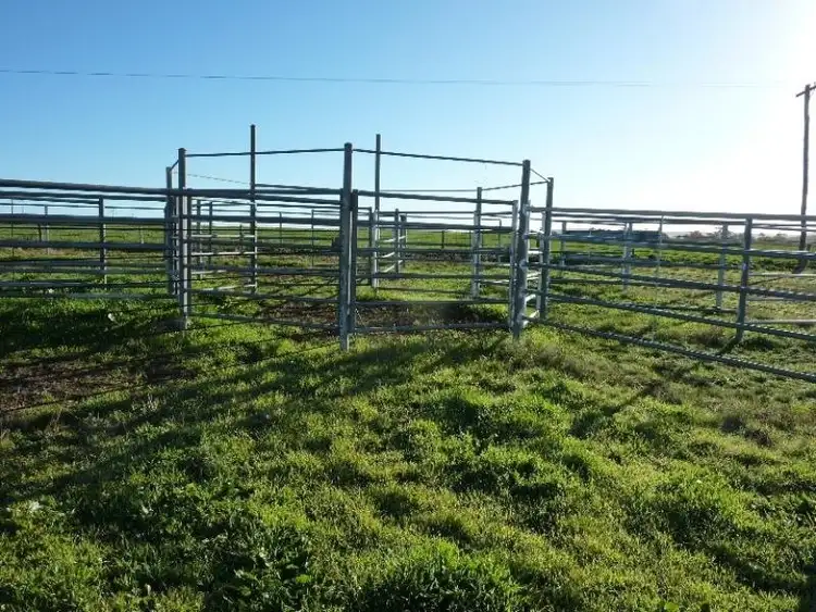 Third view of Homely rural property listing, 71 Smith Road, Clifton QLD 4361