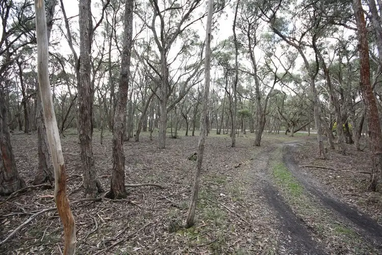 Second view of Homely land listing, C/A 14 Bells Road, Haddon VIC 3351