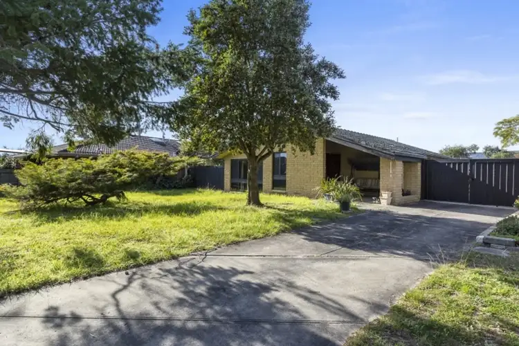 14 Fairbank Court, Rosebud VIC 3939