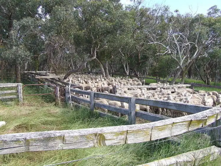 Sixth view of Homely rural property listing, 48 Lower Lewis Ponds Road, Orange NSW 2800