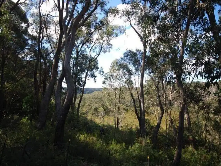 33 Rozelle Street, Wentworth Falls NSW 2782