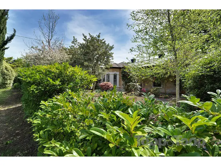 Main view of Homely house listing, 69 Old Mount Barker Road, Stirling SA 5152