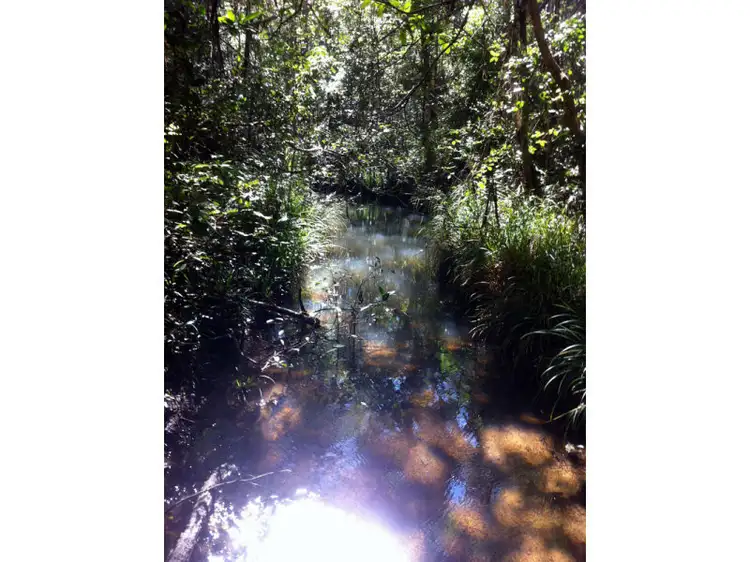 Second view of Homely land listing, LOT L490/Lot 7 Webster Road, Wondecla QLD 4887
