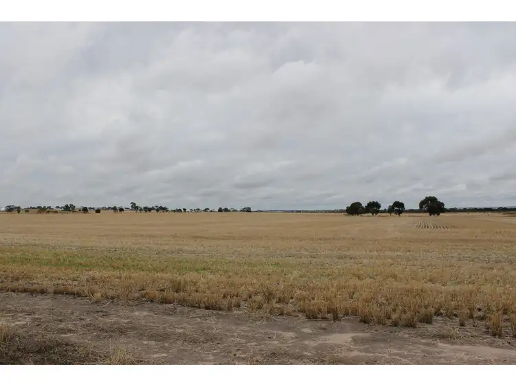 Third view of Homely rural property listing, 3311 Fiegert Road, Cunderdin WA 6407