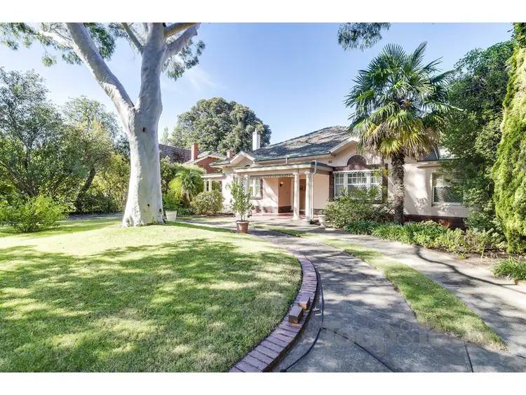 Second view of Homely house listing, 19 Whistler Avenue, Unley Park SA 5061