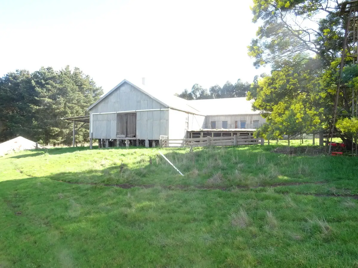 Main view of Homely rural property listing, 64 Chrome Road, Branxholme VIC 3302