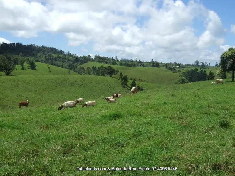 Main view of Homely rural property listing, Address available on request