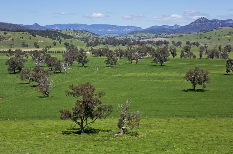 Third view of Homely rural property listing, 7245 Bylong Valley Way, Bylong NSW 2849