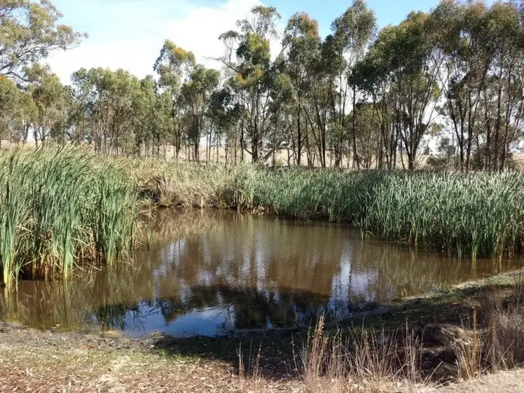 Fourth view of Homely land listing, 545 Spring Flat Road, Heathcote VIC 3523