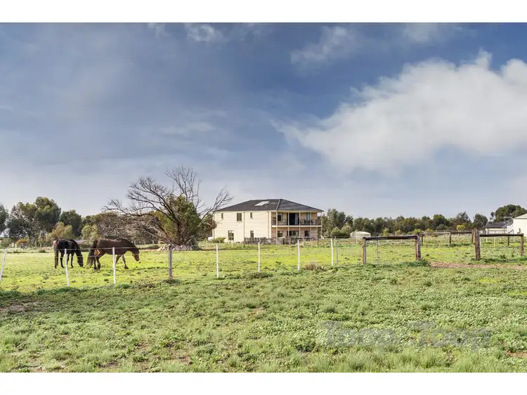 Second view of Homely house listing, 97 Trainers Way, Strathalbyn SA 5255