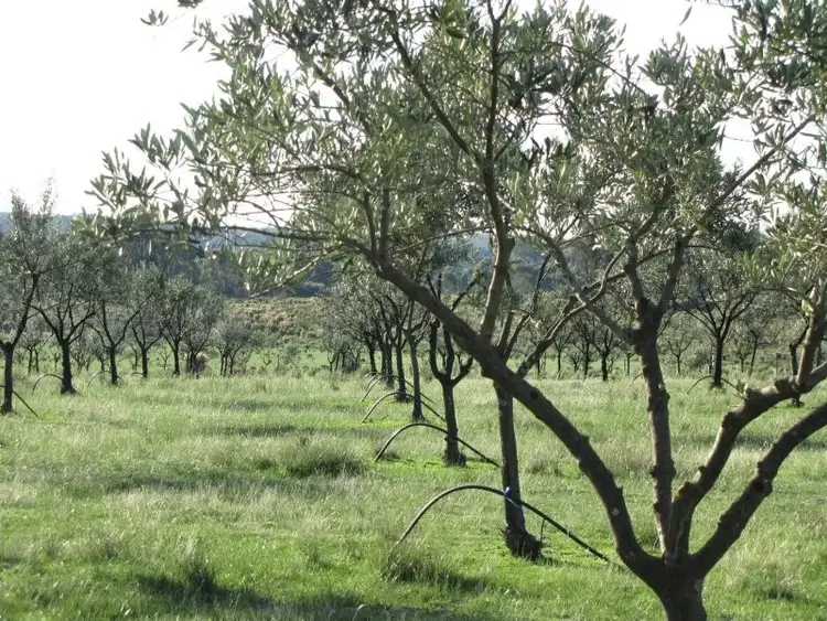 Fourth view of Homely house listing, 999 Schoolhouse Lane, Heathcote VIC 3523