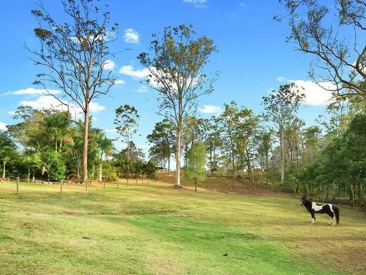 Fourth view of Homely rural property listing, 345 Connection Rd, Mooloolah Valley QLD 4553