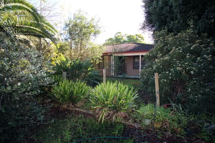 Fourth view of Homely rural property listing, 84 Mills Road West, Martin WA 6110