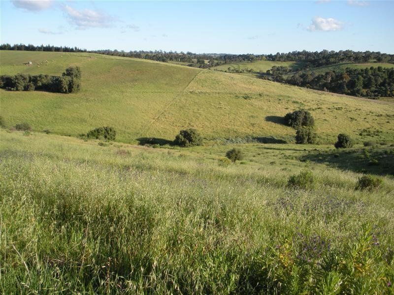 Main view of Homely land listing, Address available on request