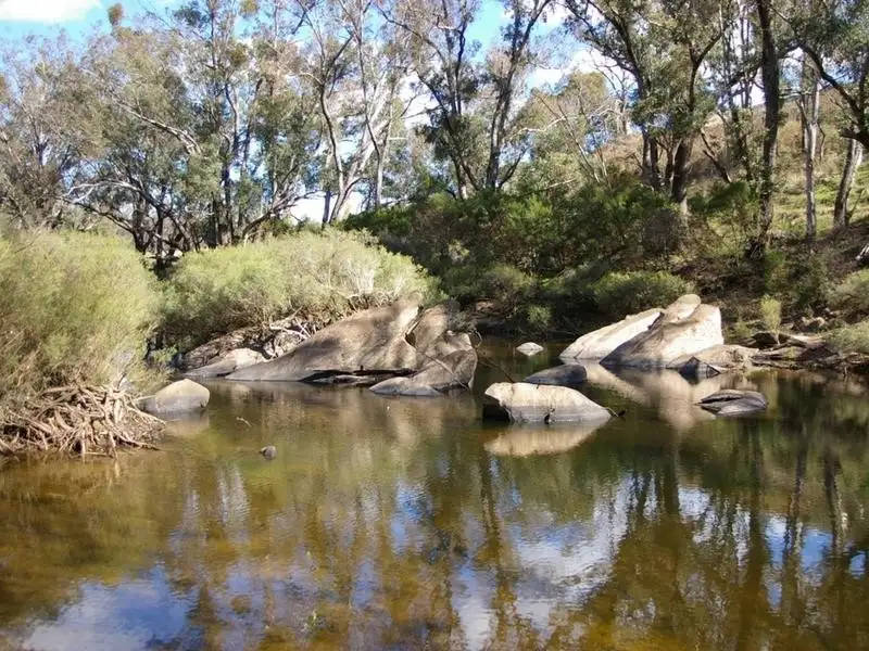Main view of Homely rural property listing, 4 Balingup Road, Nannup WA 6275