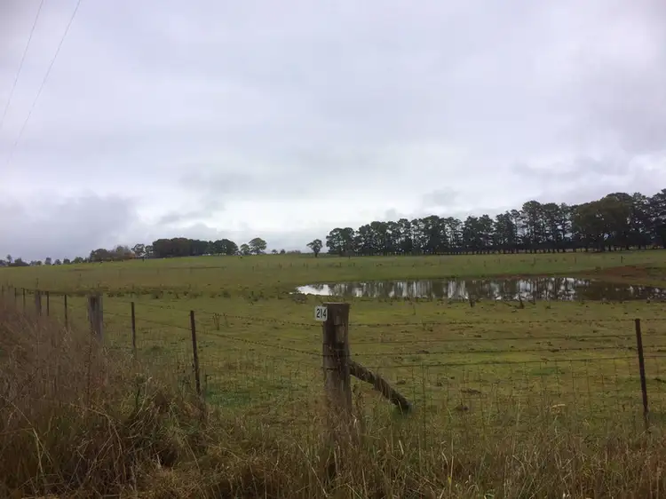Main view of Homely rural property listing, 1/214 Spring Hill Road, Spring Hill NSW 2800