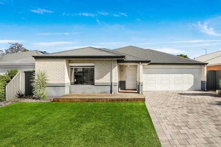 Main view of Homely house listing, 42 Palomino Promenade, The Vines WA 6069