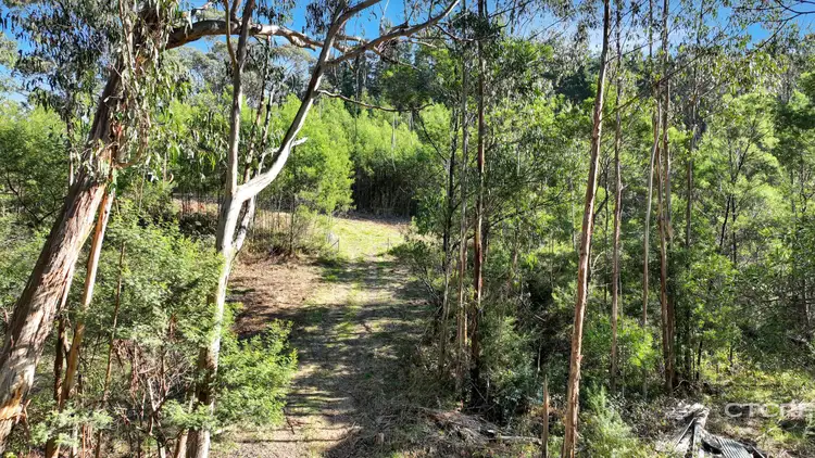 Seventh view of Homely rural property listing, 1721 Monaro Highway, Noorinbee North VIC 3890