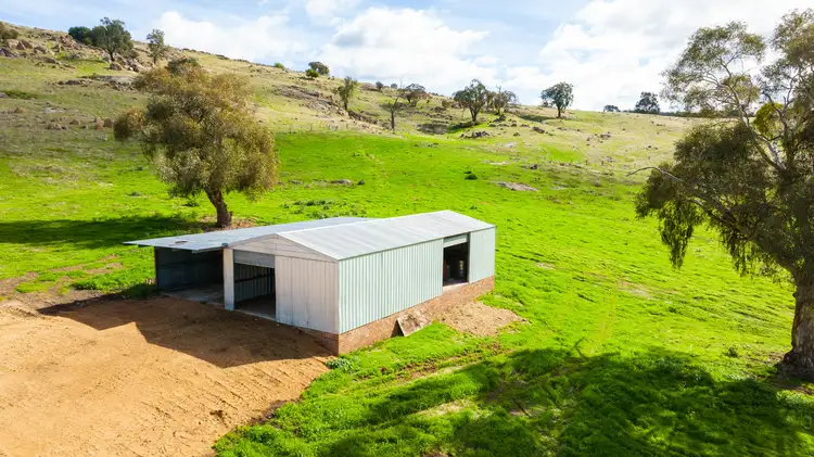 Third view of Homely rural property listing, 350 Sessions Road, Killawarra VIC 3678