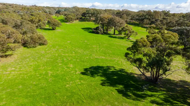 Sixth view of Homely rural property listing, 350 Sessions Road, Killawarra VIC 3678