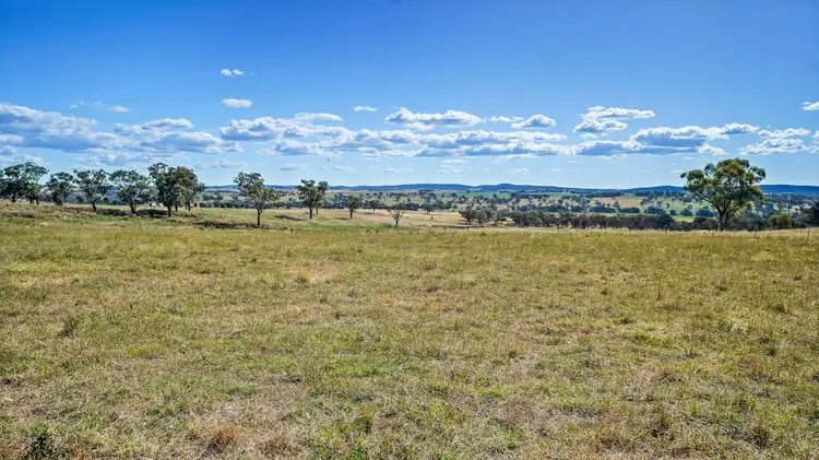Main view of Homely rural property listing, LOT 11 Stapletons Road, Molong NSW 2866