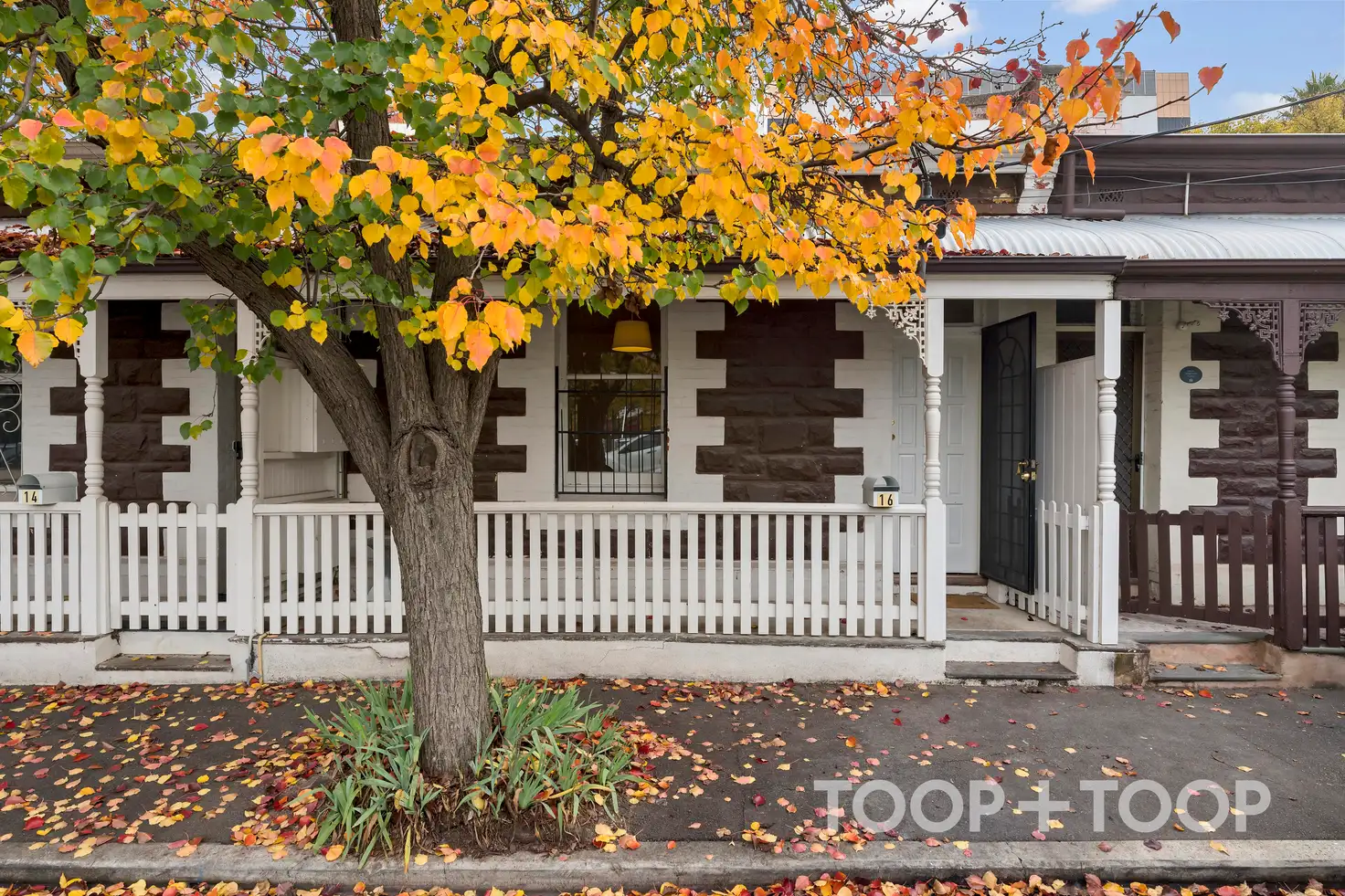 Main view of Homely house listing, 16 Alfred Street, Adelaide SA 5000