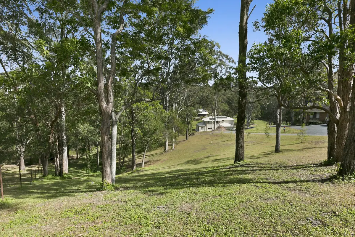 Main view of Homely land listing, 66B Trees Road, Tallebudgera QLD 4228