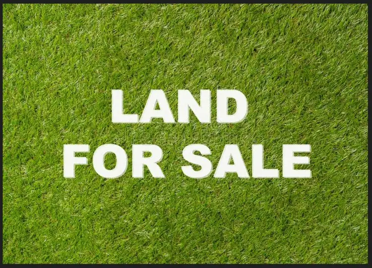 LOT 8741 New Road, Spring Mountain QLD 4300