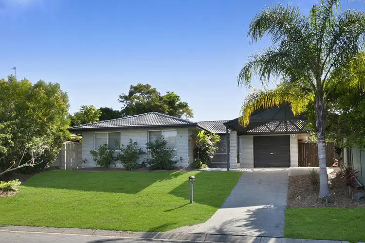 14 Bushtree Court, Burleigh Waters QLD 4220