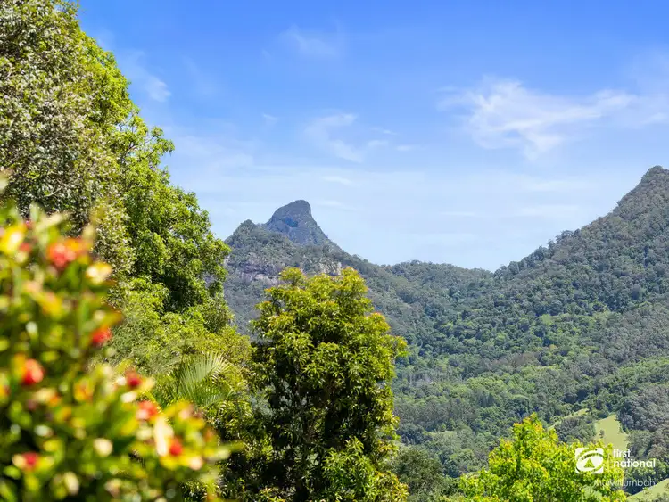 Fifth view of Homely house listing, 1495 Kyogle Road, Uki NSW 2484