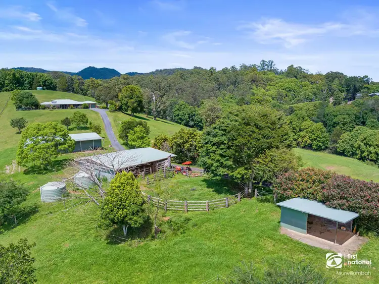 Sixth view of Homely house listing, 1495 Kyogle Road, Uki NSW 2484