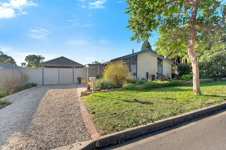 Main view of Homely house listing, 24 Callitris Avenue, Surrey Downs SA 5126