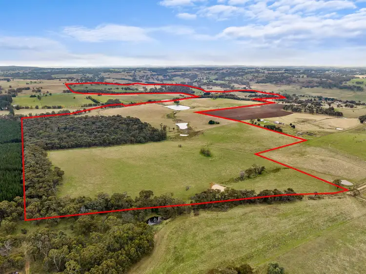 Third view of Homely rural property listing, 37 Burn Road, Orange NSW 2800