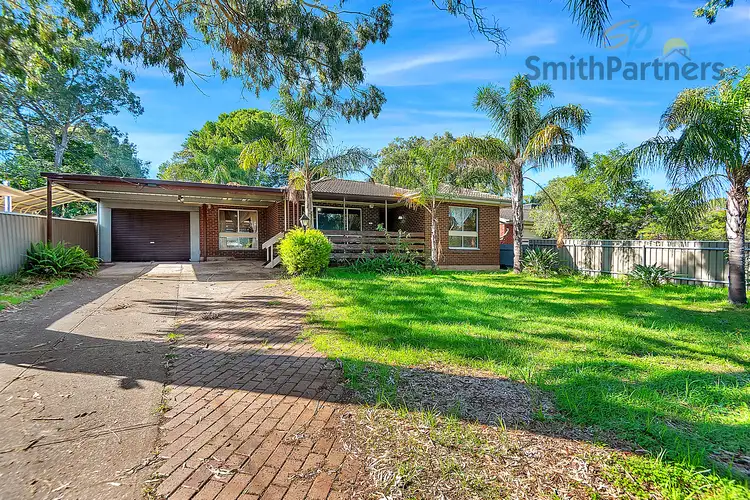 Main view of Homely house listing, 243 Hancock Road, Banksia Park SA 5091