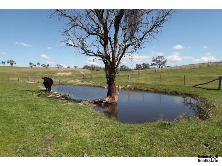 Fourth view of Homely rural property listing, 99 Bloomhill Road, O'connell NSW 2795