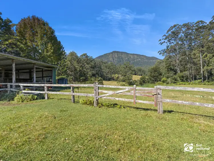 Third view of Homely rural property listing, 3537 Kyogle Road, Mount Burrell NSW 2484