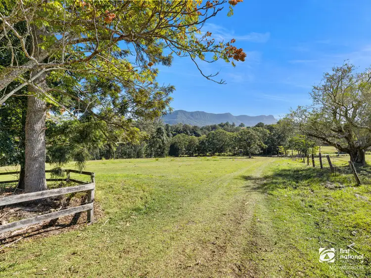Fourth view of Homely rural property listing, 3537 Kyogle Road, Mount Burrell NSW 2484