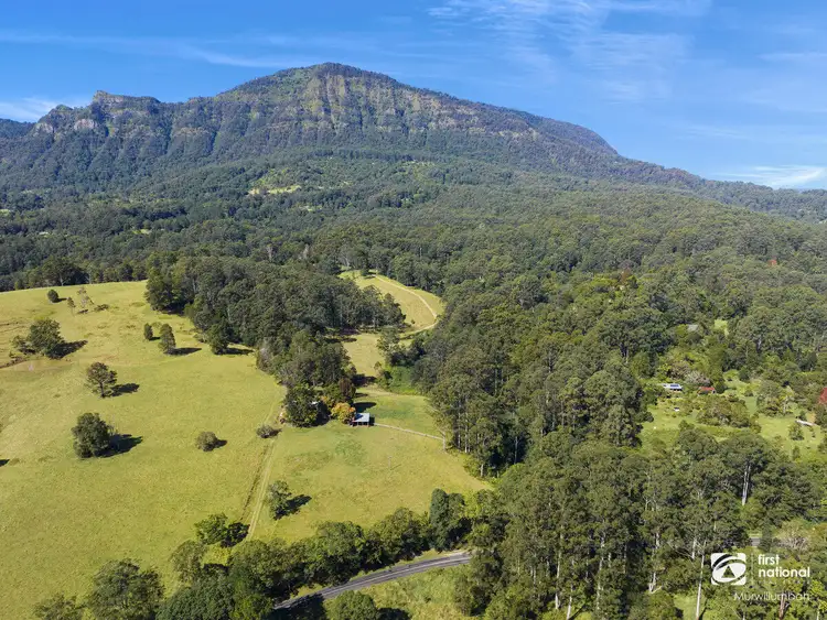 Fifth view of Homely rural property listing, 3537 Kyogle Road, Mount Burrell NSW 2484