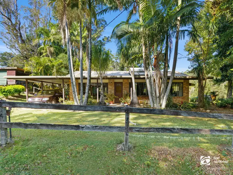 Sixth view of Homely rural property listing, 3537 Kyogle Road, Mount Burrell NSW 2484
