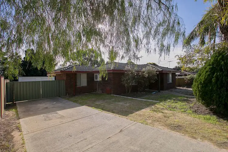 Third view of Homely house listing, 31 Downing Crescent, Wanneroo WA 6065