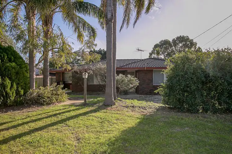 Fourth view of Homely house listing, 31 Downing Crescent, Wanneroo WA 6065