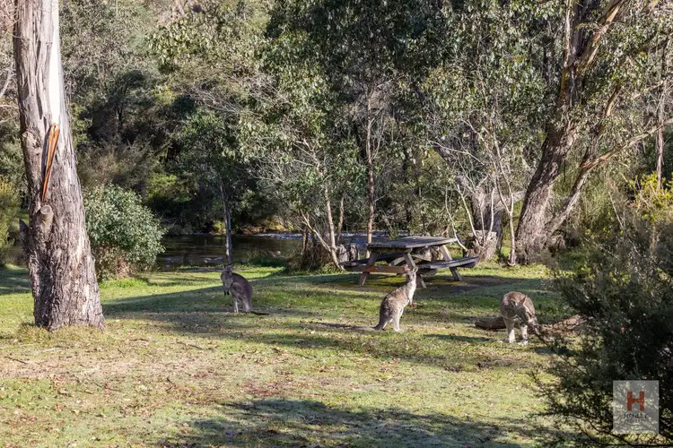 Fifth view of Homely land listing, 9 Scott Street, Khancoban NSW 2642