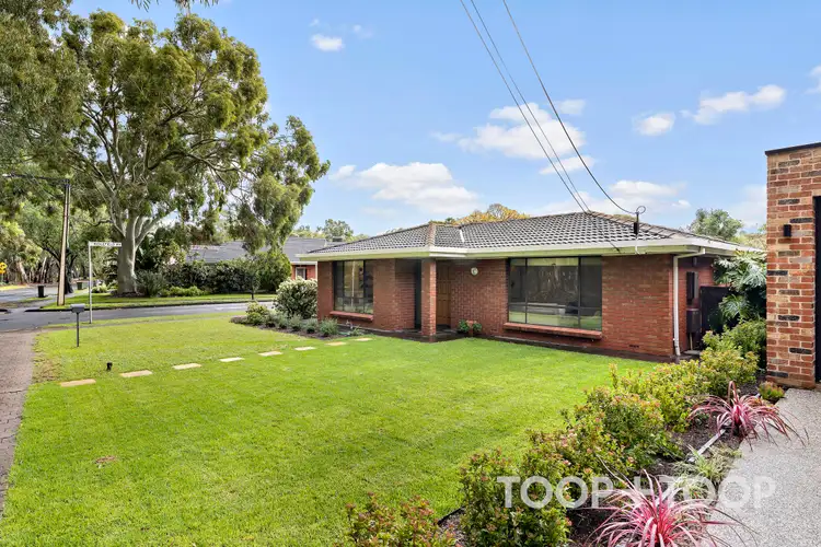 Main view of Homely house listing, 13 Riverside Grove, Dernancourt SA 5075