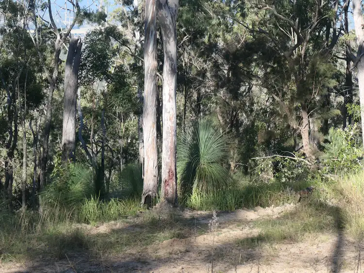 Fifth view of Homely rural property listing, LOT 11 Cyril Smith Circuit, Tabulam NSW 2469