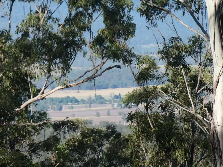 Sixth view of Homely rural property listing, LOT 11 Cyril Smith Circuit, Tabulam NSW 2469