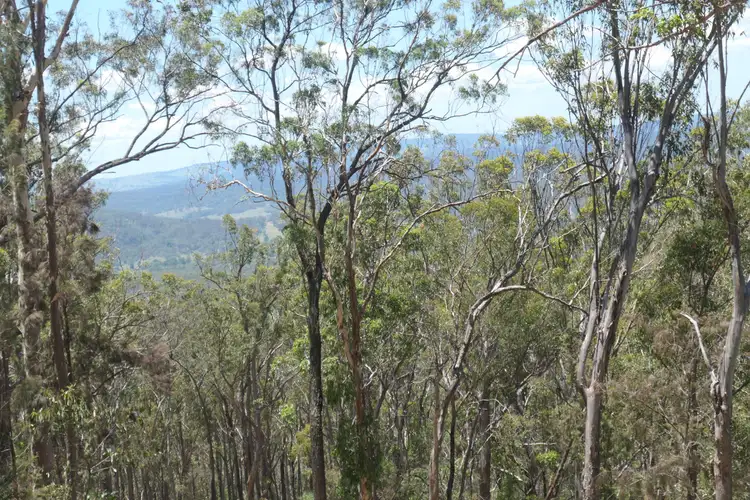 Seventh view of Homely rural property listing, LOT 11 Cyril Smith Circuit, Tabulam NSW 2469
