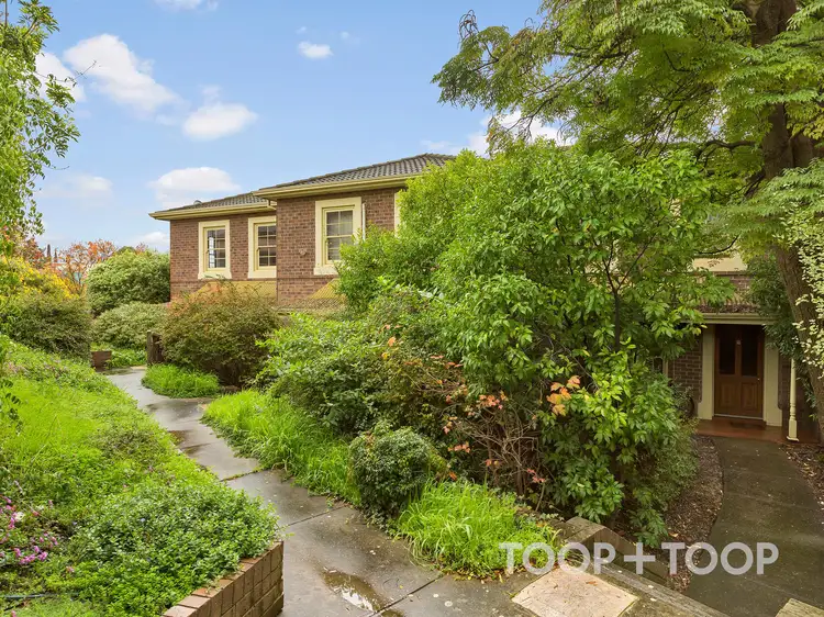 47 Wakefield Street, Kent Town SA 5067